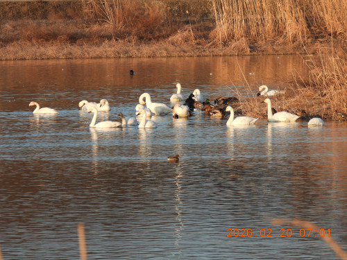 DSCN2220.JPG