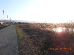 DSCN2229.JPG