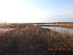 DSCN2230.JPG