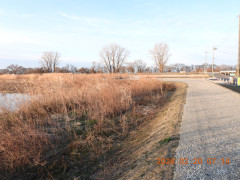 DSCN2231.JPG
