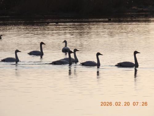 DSCN2245.JPG
