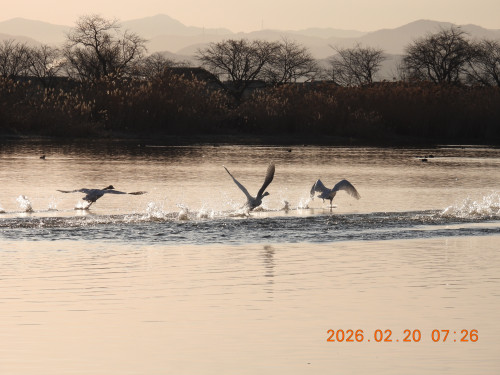 DSCN2247.JPG