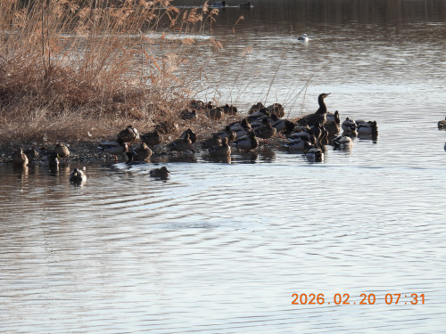 DSCN2252.JPG