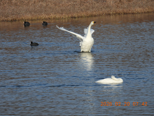 DSCN2256.JPG