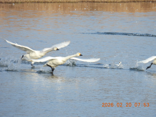 DSCN2336.JPG
