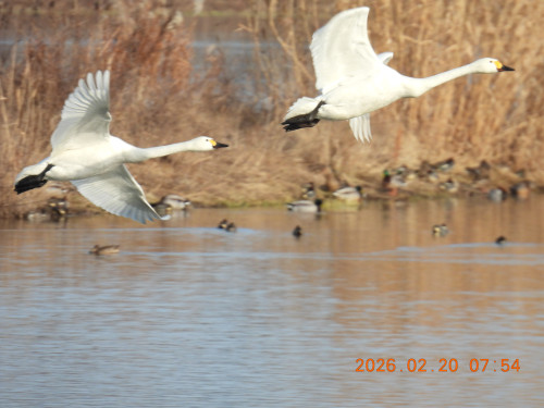 DSCN2344.JPG