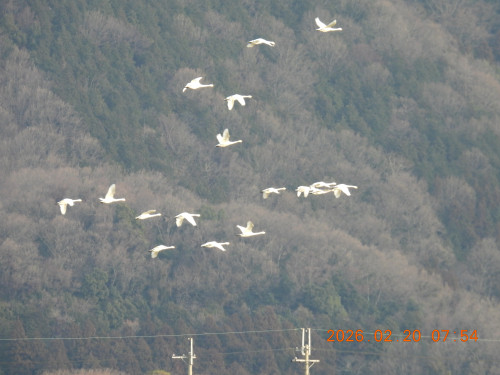 DSCN2357.JPG
