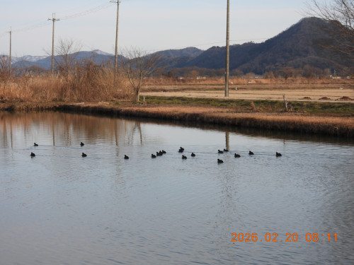 DSCN2368.JPG