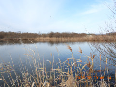 DSCN2370.JPG