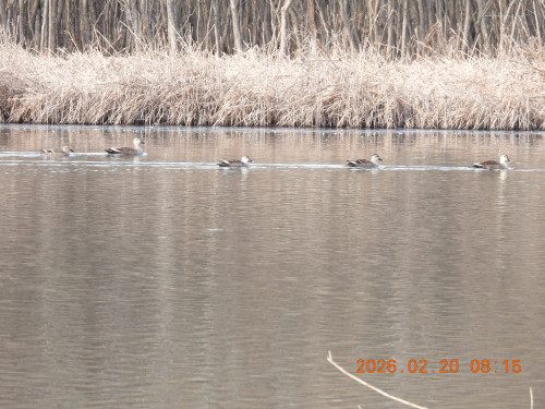 DSCN2372.JPG