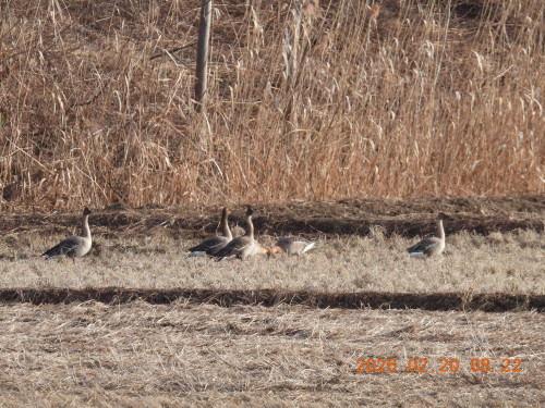 DSCN2375.JPG