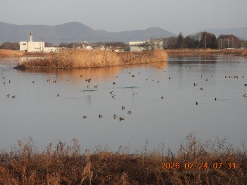DSCN2434.JPG