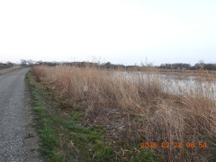DSCN2393.JPG