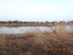 DSCN2394.JPG