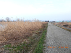 DSCN2395.JPG