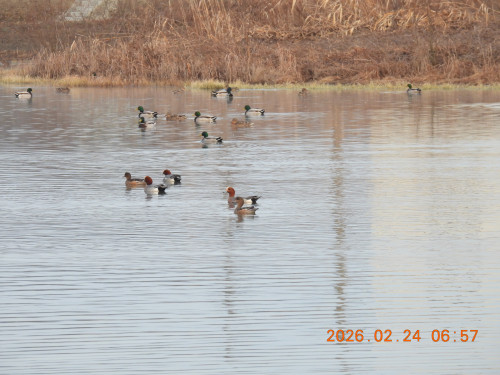 DSCN2396.JPG