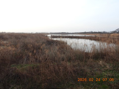 DSCN2406.JPG