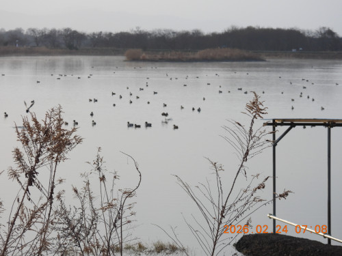 DSCN2409.JPG