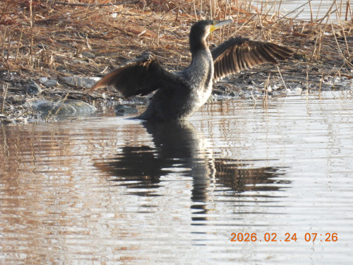 DSCN2427.JPG