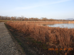 DSCN2431.JPG
