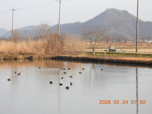DSCN2442.JPG