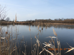 DSCN2447.JPG