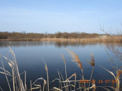 DSCN2448.JPG