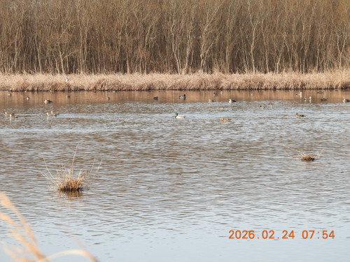 DSCN2445.JPG