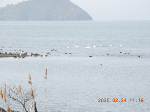 DSCN1460.JPG