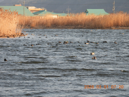DSCN2512.JPG