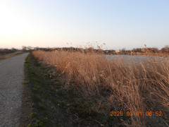DSCN2490.JPG