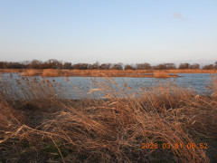 DSCN2491.JPG