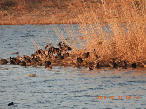 DSCN2489.JPG