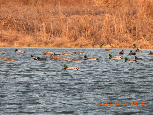 DSCN2497.JPG