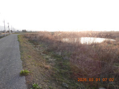 DSCN2498.JPG