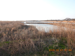 DSCN2499.JPG