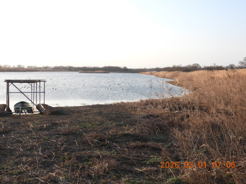 DSCN2502.JPG