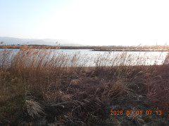 DSCN2507.JPG