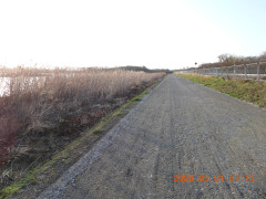DSCN2508.JPG