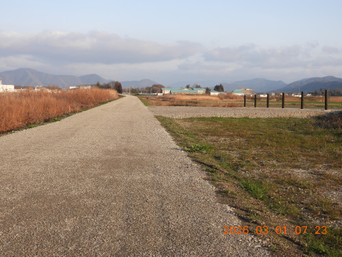 DSCN2517.JPG