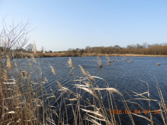 DSCN2052.JPG