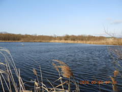 DSCN2053.JPG
