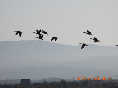 DSCN2524.JPG
