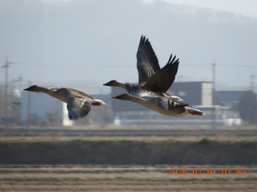 DSCN2061.JPG