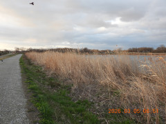 DSCN2573.JPG