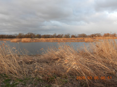 DSCN2574.JPG