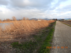 DSCN2575.JPG