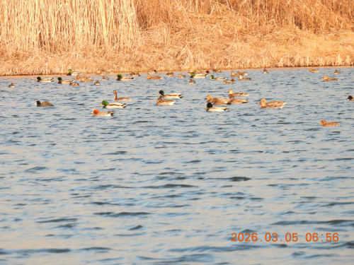 DSCN2580.JPG