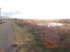DSCN2586.JPG