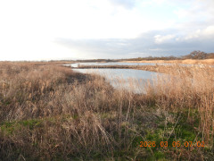 DSCN2587.JPG